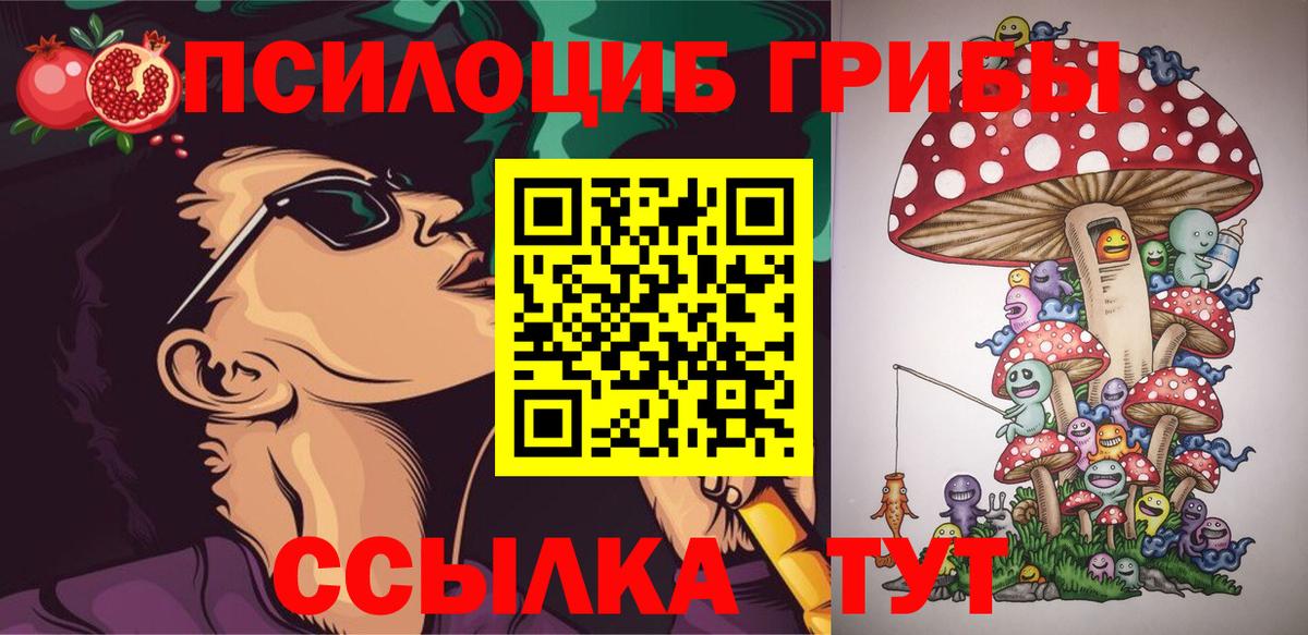 Батайск  Псилоцибиновые грибы прущие грибы  Вход с VPN  купить наркотик  Псилоцибиновые грибы Cubensis 